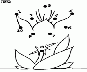 A flower, dot to dot coloring page
