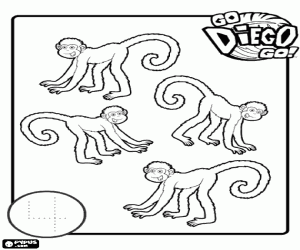 The four monkeys of Diego coloring page