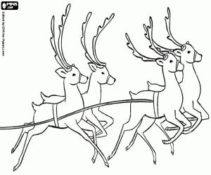 Four reindeer of Santa sled coloring page
