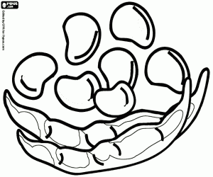 Fresh broad beans, pods and seeds coloring page