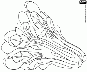 The fresh spinach coloring page