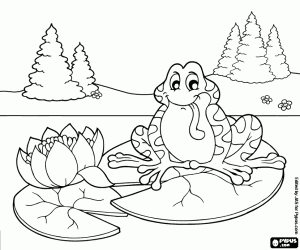 The frog on a flowering water lily coloring page