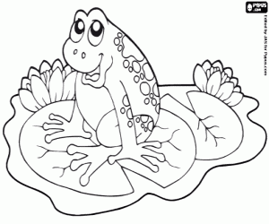 A frog on a water lily coloring page
