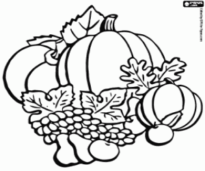 Fruits of autumn coloring page