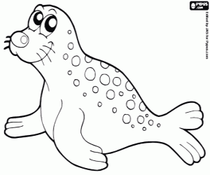 Fur seal coloring page