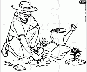 A gardener with a plant, puzzle coloring page