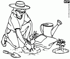 The gardener planting plants coloring page
