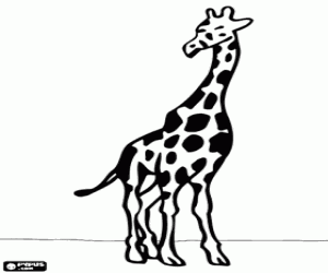 A giraffe, front view coloring page