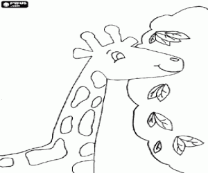 Giraffe head eating leaves coloring page