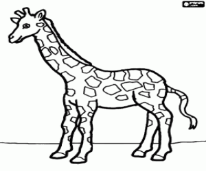 Giraffe, view from the side coloring page