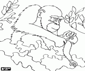 Gorilla with her baby among the plants coloring page