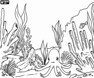 Great Barrier Reef of Australia coloring page