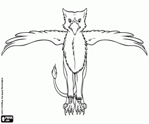 A griffin with outstretched wings coloring page