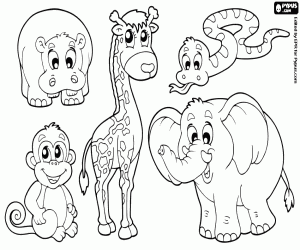 Group of five African animals coloring page