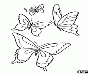 Group of butterflies flying coloring page