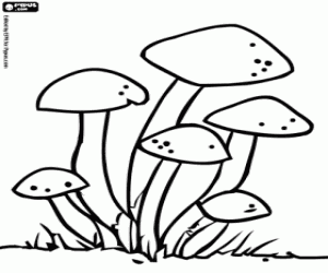 Group of fungi coloring page