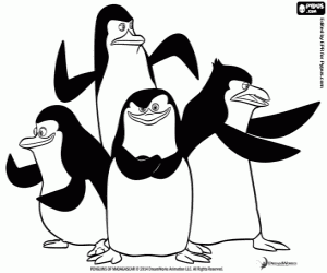 Group of penguins in action coloring page