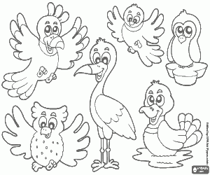 Group of six birds coloring page