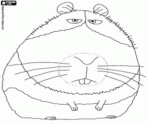 The guinea pig Norman coloring page