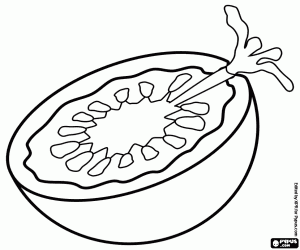 Half a tomato coloring page