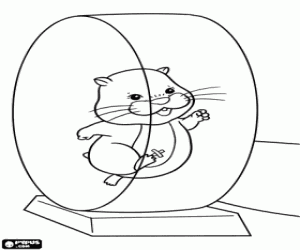 The hamster Pipsqueak on the wheel coloring page