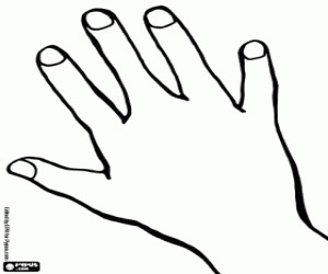 A hand of a human body coloring page