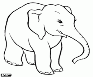 Happy elephant coloring page
