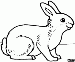 Happy rabbit with smiley face coloring page