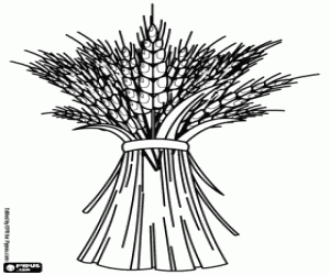 The harvest of the cereals, the wheat coloring page