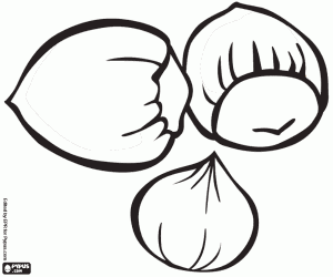 The hazelnuts with the shell coloring page