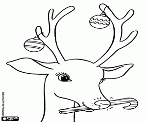Head of the happy reindeer in Christmas coloring page