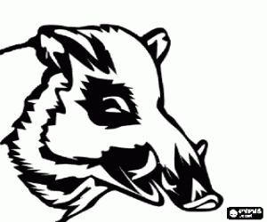 Head of wild boar with tusks coloring page