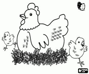 Hen and two chicks for Easter coloring page
