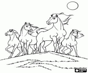 A herd of wild horses coloring page