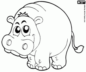 Hippopotamus coloring page
