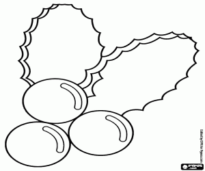 Holly leaves with their berries coloring page