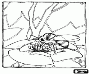 Honeybee collecting pollen coloring page