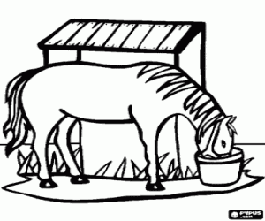 Horse eating on the farm coloring page