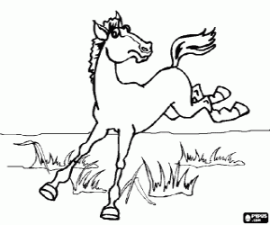 Horse jumping by the prairie coloring page