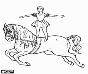Horse ridden by acrobata coloring page