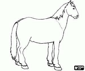 Horse coloring page