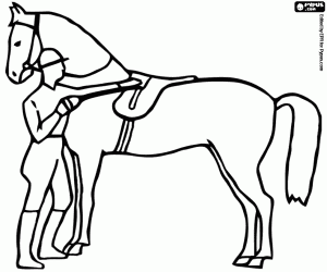 A horseman beside the dressage horse coloring page