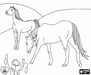 Horses grazing in the field coloring page