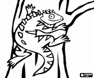 Iguana in the trunk of a tree coloring page