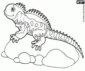 Iguana on a rock coloring page