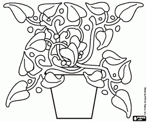 Ivy in a plant pot coloring page