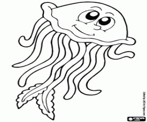 Jellyfish coloring page