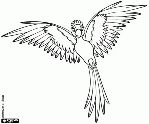 Jewel flaunts her feathers coloring page