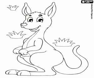 A kangaroo, an Australian animal coloring page