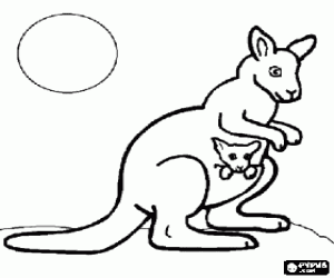 The kangaroo marsupial pouch coloring page